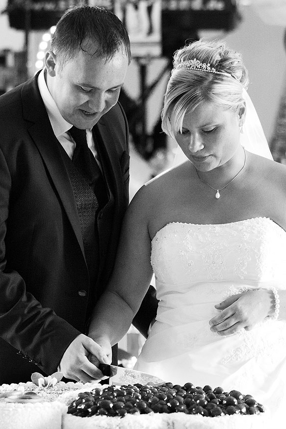 Hochzeitsfotos einer Hochzeit im Sommer bei Cottbus